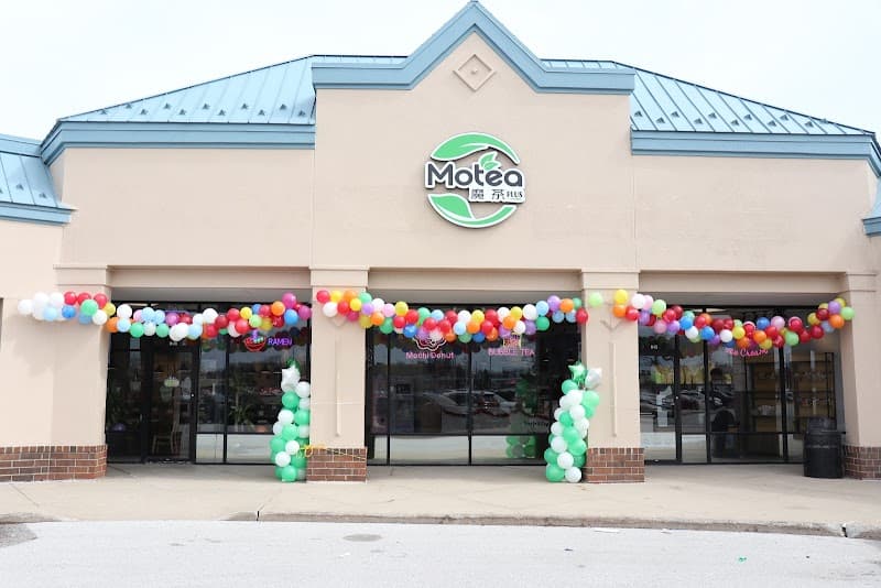 Motea Plus