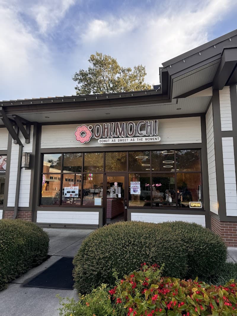 Oh Mochi Virginia Beach