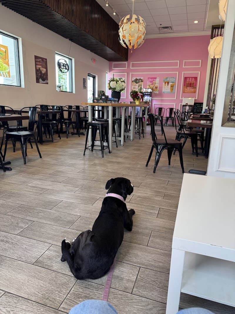 Vivi Bubble Tea