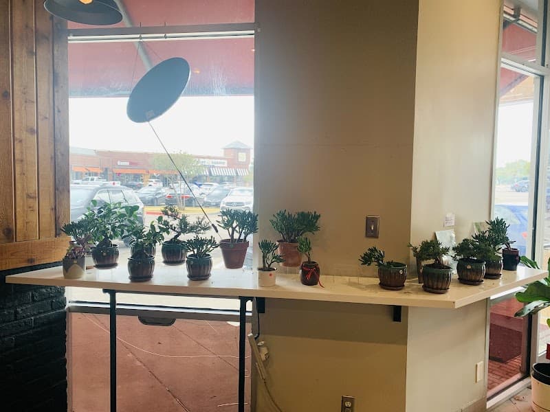 Sharetea Arlington