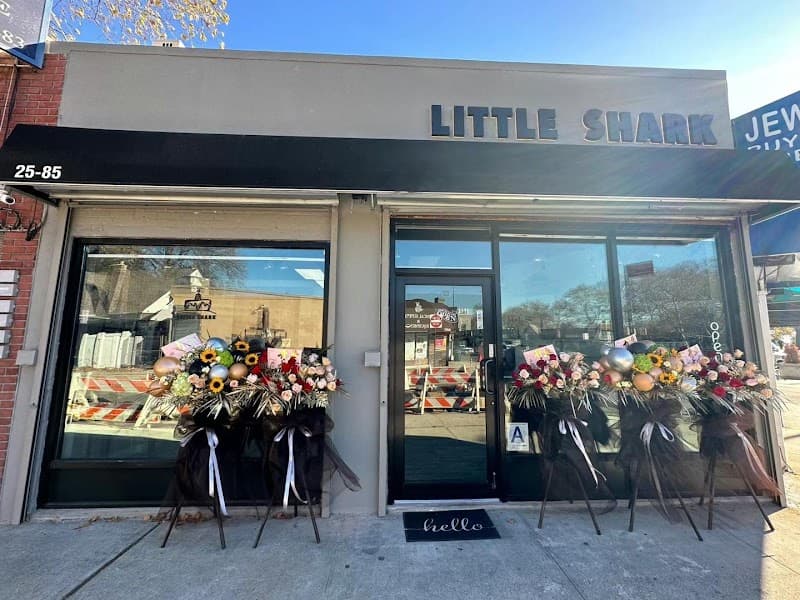 LITTLE SHARK