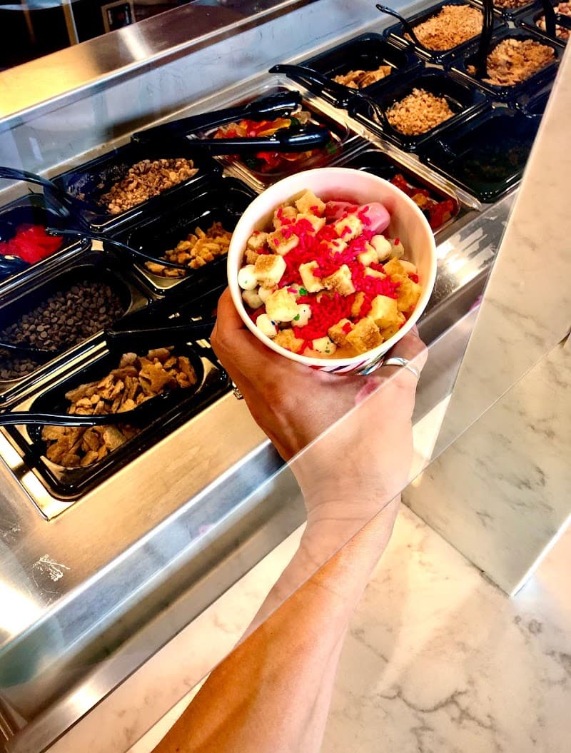 SNICKERDOODLZ FROZEN YOGURT
