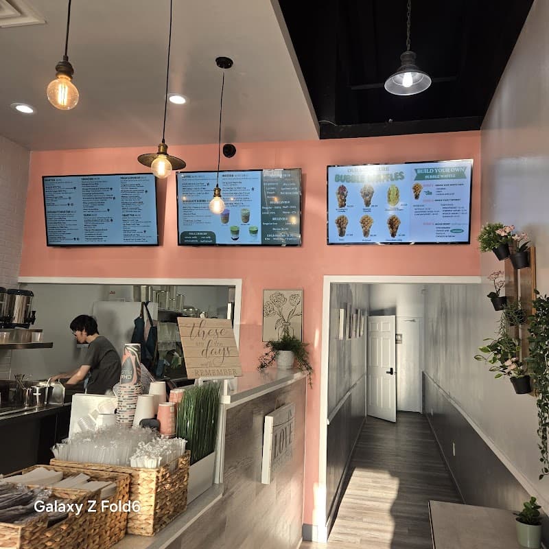 Chaplus Modern Tea Room Orange