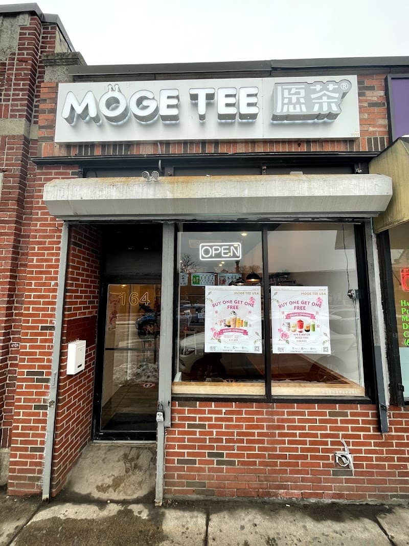 Möge Tee Allston