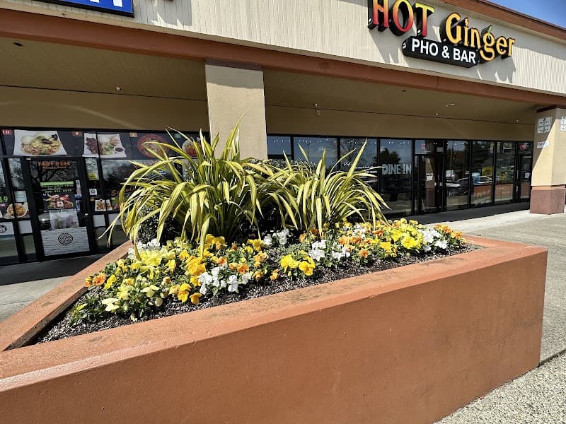 Hot Ginger Pho