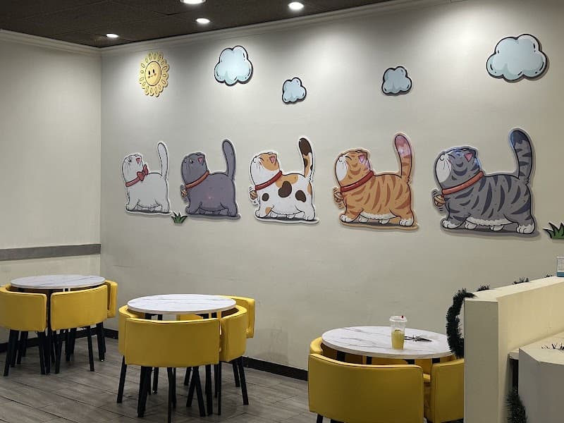 冰岛鲜茶