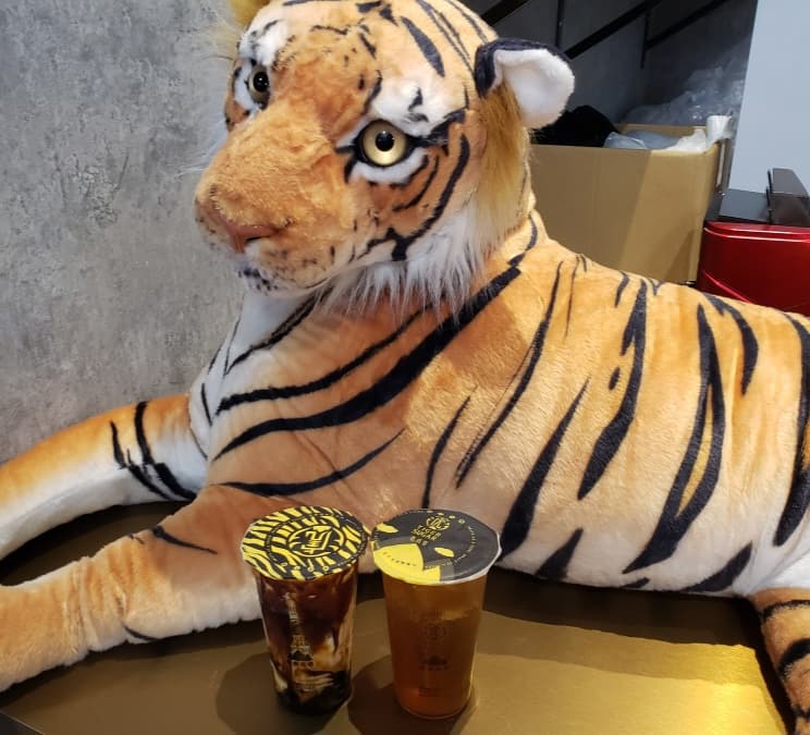 Tiger Sugar at H-mart Las Vegas