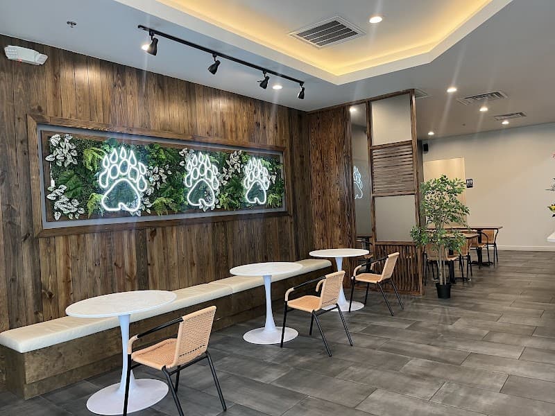 DABOBA PEARLAND