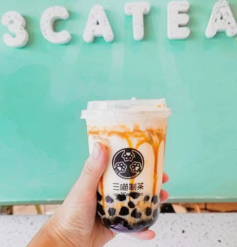 3Catea 三喵制茶