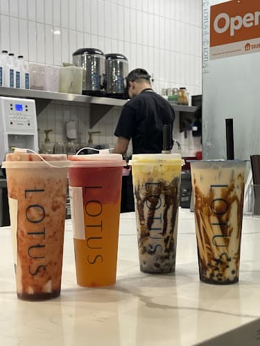 Lotus Coffee & Tea