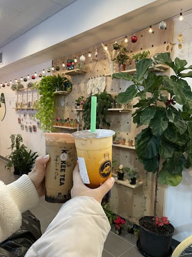 Kokee Tea - Ellicott City