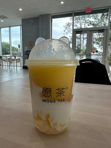 Möge Tee - Tampa